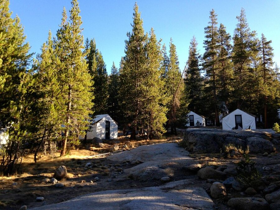 Scenic view of cabins surrounded by forest at Tuolumne Meadows Lodge, located in Yosemite National Park.