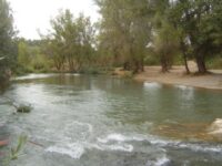 Antic Tram Fluvial del Riu Túria