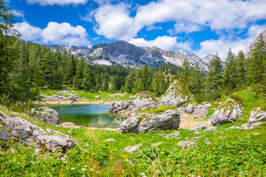Triglav Alps turquoise alpine lake and meadow at Seven Lakes, Triglav National Park, Slovenia.