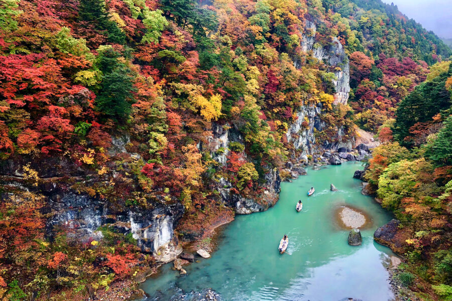 Autumn canyon river cruise with turquoise water, colorful foliage, rocky cliffs, and wooden tour boats.