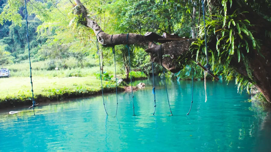 Turquoise jungle swimming hole with rope swings over clear blue water in tropical nature.
