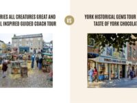 TV Series All Creatures Great and Small Inspired Guided Coach Tour vs York Historical Gems Tour with a Taste of York Chocolate: Which Tour Is Better?