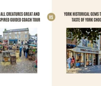 TV Series All Creatures Great and Small Inspired Guided Coach Tour vs York Historical Gems Tour with a Taste of York Chocolate: Which Tour Is Better?
