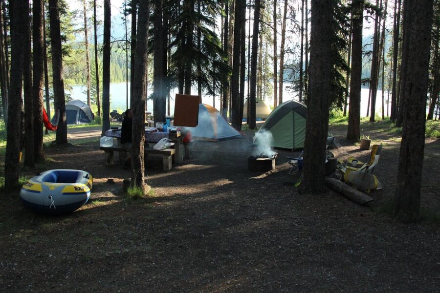 Tranquil view of trees in a forest at Two Jack Lakeside Campground, showcasing nature's beauty.