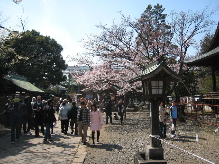 People strolling through Ueno Park in Japan, enjoying the natural scenery and each other's company.