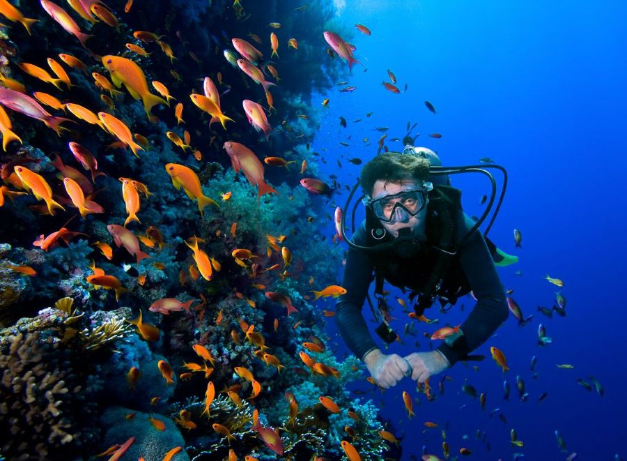 Snorkeling and Scuba Diving