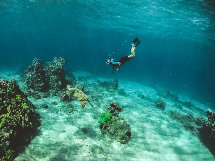Snorkeling is a must-do in the Galapagos