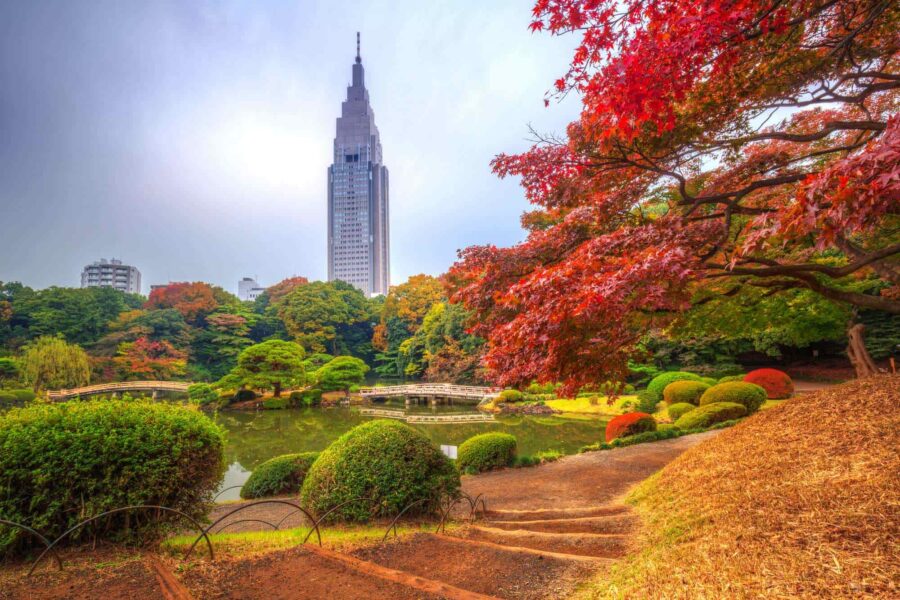 Shinjuku Gyoen autumn pond with wooden bridges and Tokyo skyscraper backdrop.