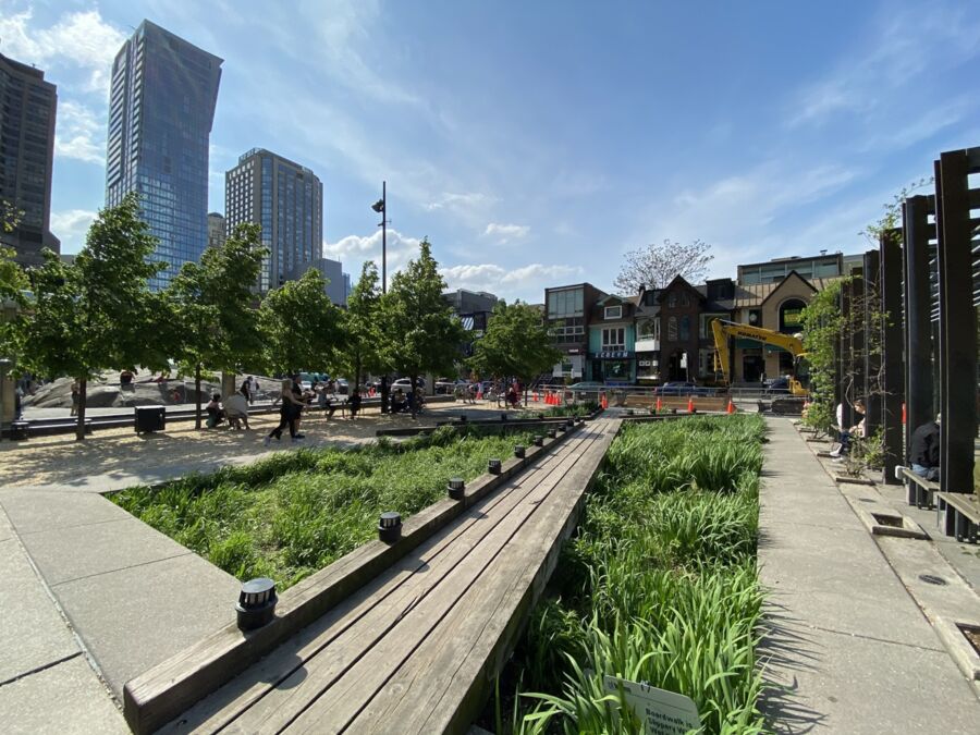 Urban park with greenery, skyscrapers, and people engaged in activities.