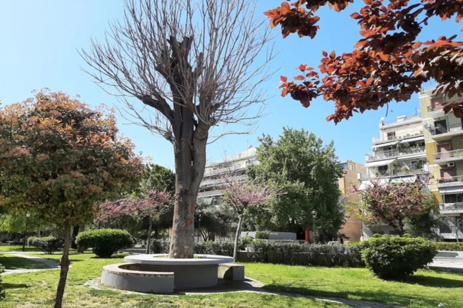 Urban park with pruned tree, circular concrete bench, and apartments under blue sky.