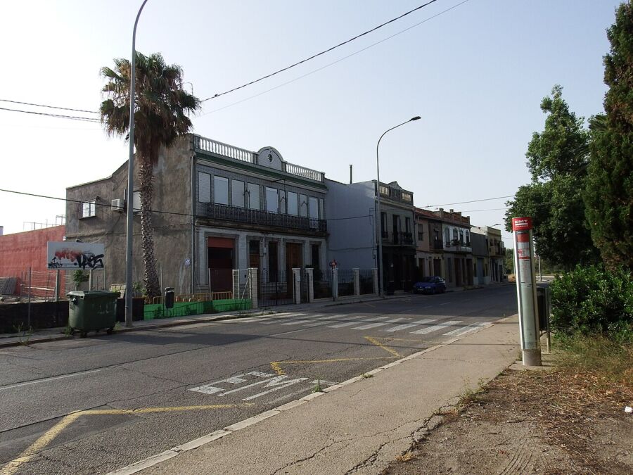 Quiet street scene with varied architecture, palm tree, and public transportation elements.
