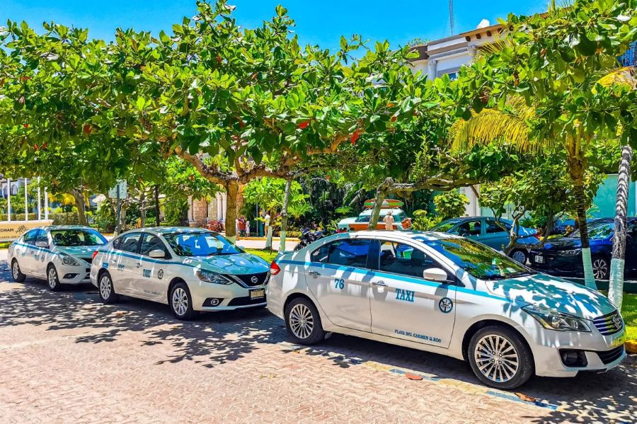 Taxis and Local Transport