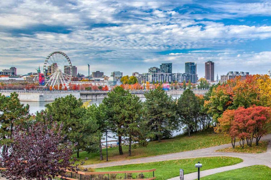 Urban riverfront with trees, Ferris wheel, skyscrapers, and bridge in vibrant Montreal.
