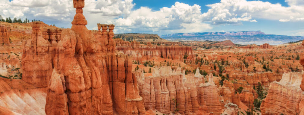 Scenic view of Bryce Canyon National Park, showcasing its iconic hoodoos and vibrant red rock formations under a clear sky.
