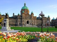 The British Columbia provincial parliament building framed by colorful spring tulips in Victoria, BC, Canada