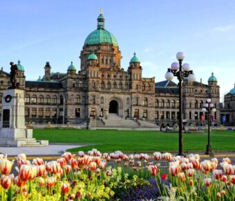 The British Columbia provincial parliament building framed by colorful spring tulips in Victoria, BC, Canada