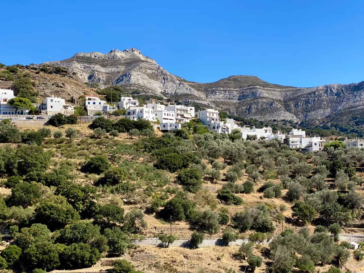 Mediterranean hillside village with olive trees and mountains under blue skies.