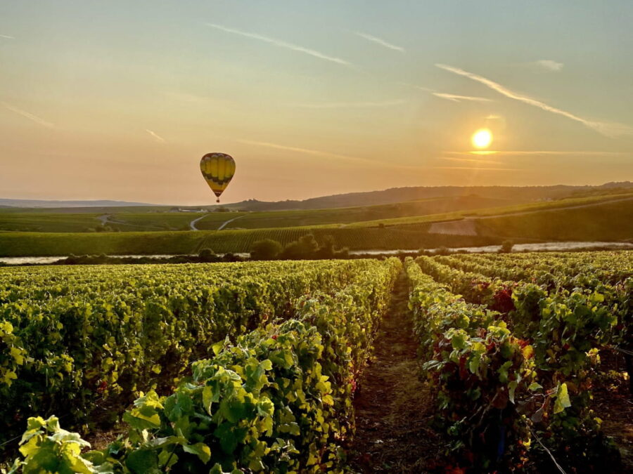Champagne vineyard at sunset with hot-air balloon over sunlit grape rows.