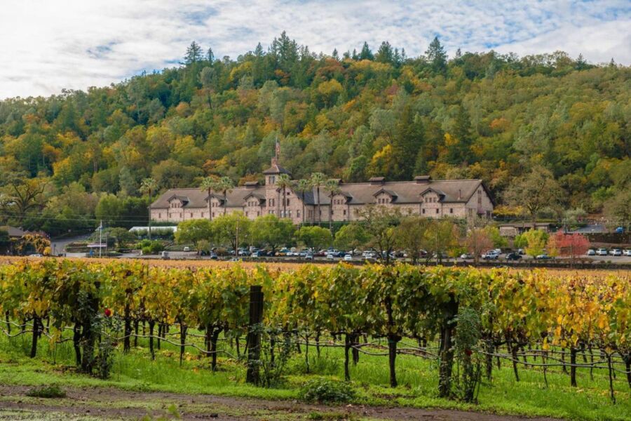 St. Helena Vineyard in autumn with historic winery and fall foliage under a partly cloudy sky.