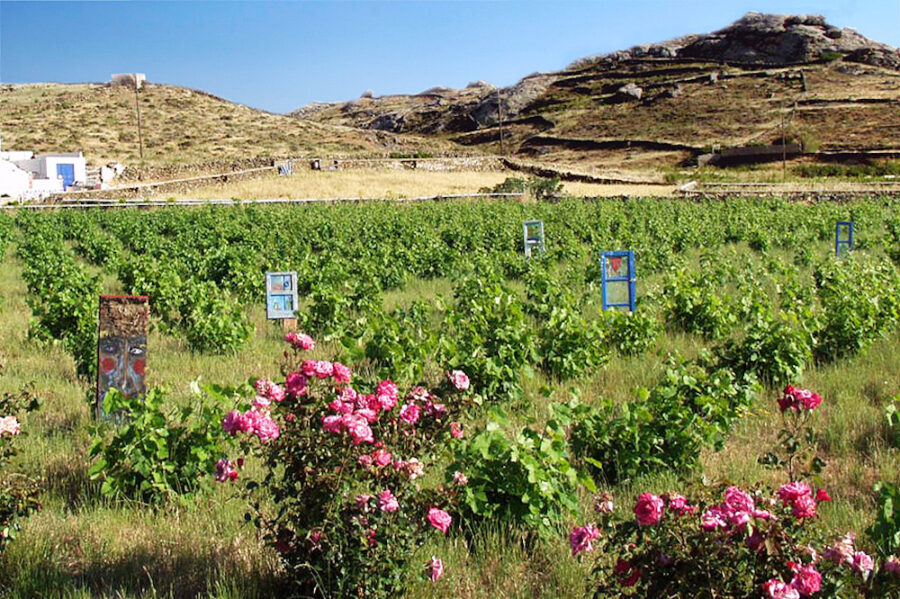 Scenic vineyard landscape with art, hills, roses, and rustic building under blue sky.