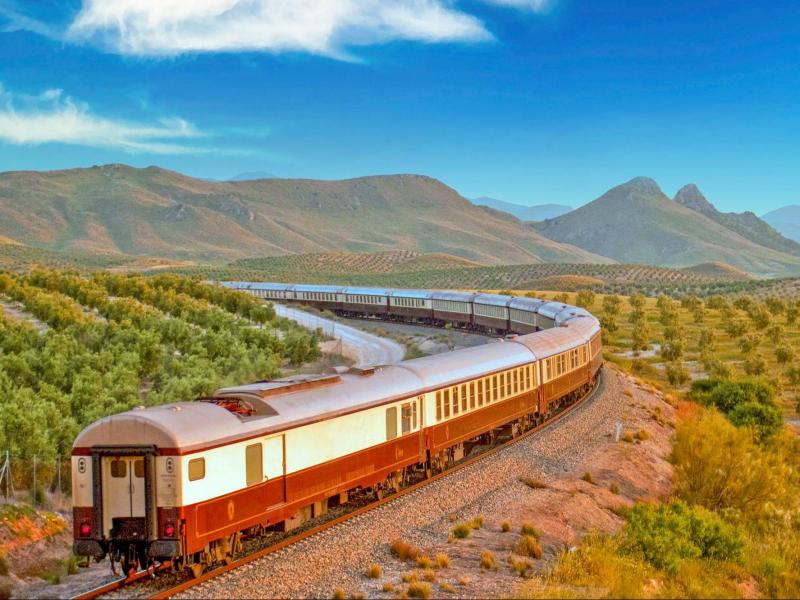 Vintage train in picturesque Andalusian landscape with olive trees, rolling hills, and colorful sky.