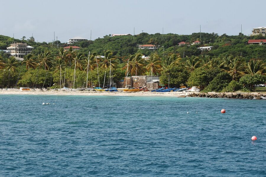 Boat navigates the ocean near a beach in Virgin Islands National Park, emphasizing the tranquil seaside environment.