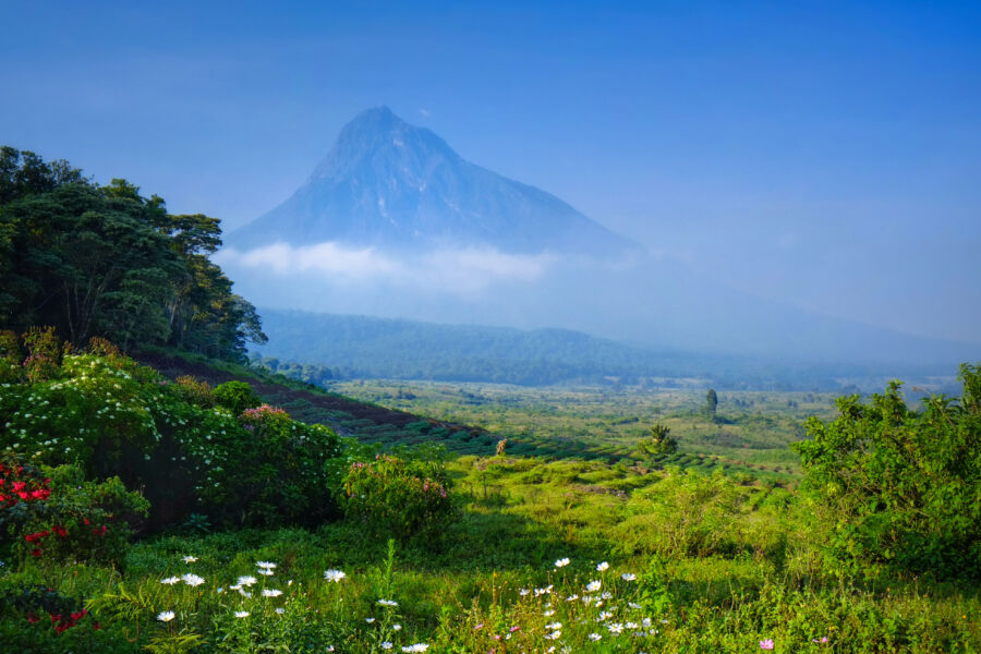 Breakfast at luxury camp overlooking a volcano in the Virunga National Park in the Democratic Republic of Congo, Africa