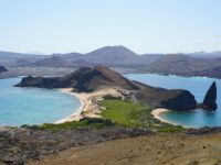 Cheapest Way to Visit Galapagos Islands: 7 Insider Tips for Budget Travelers in 2025