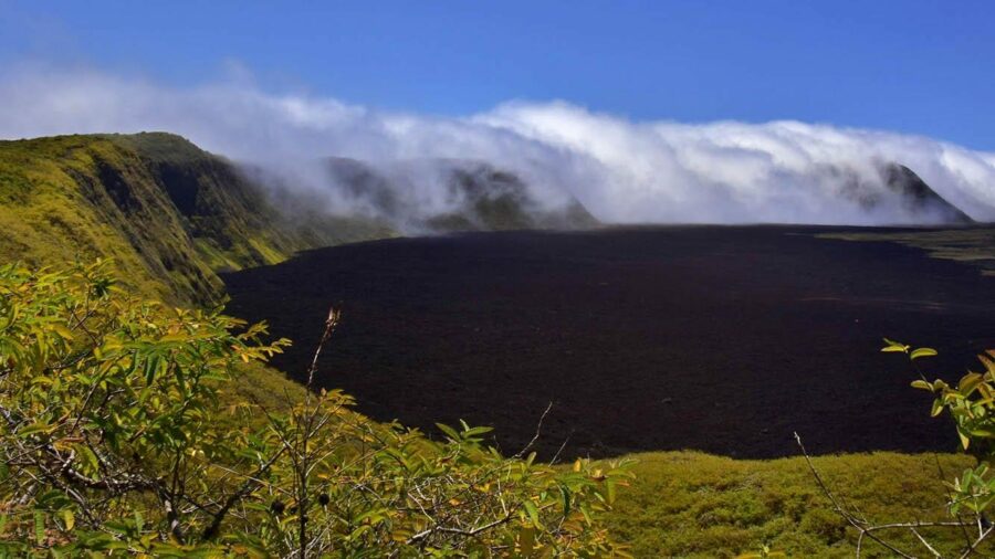 Volcanic landscape with lush greenery and misty clouds surrounding Sierra Negra Volcano.