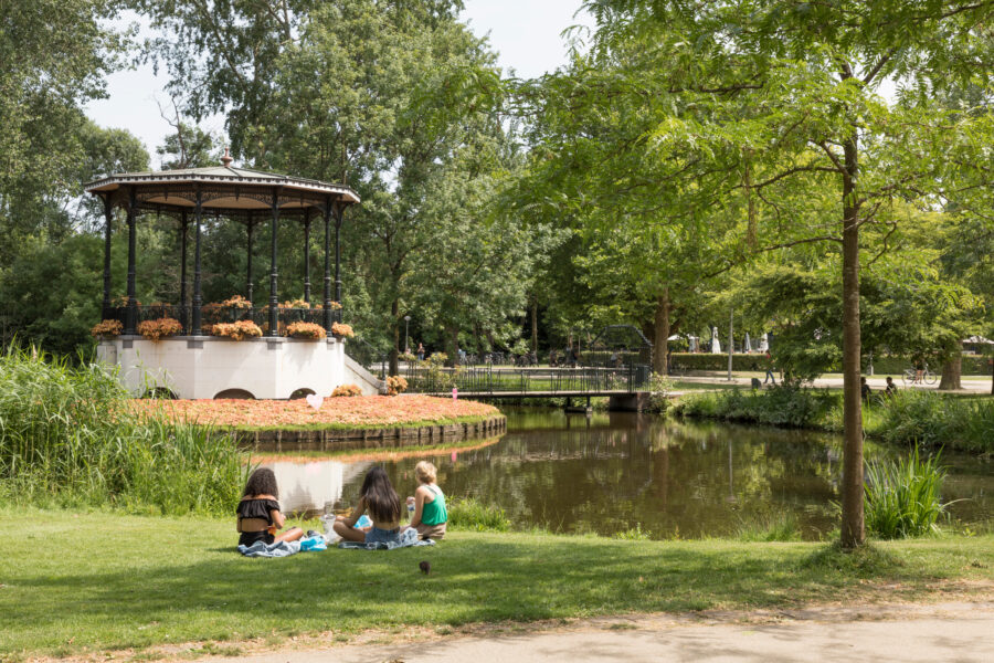 Friends gathered for a picnic in Vondelpark, Amsterdam, with blankets, food, and a vibrant park setting