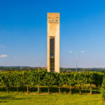 Scenic entrance to the Wagram wine region in Lower Austria, showcasing lush vineyards and rolling hills