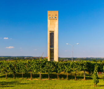 Scenic entrance to the Wagram wine region in Lower Austria, showcasing lush vineyards and rolling hills