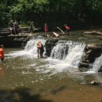 Waterfall Glen Forest Preserve