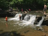 Waterfall Glen Forest Preserve