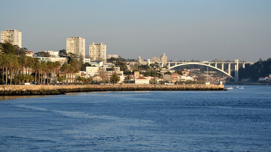 Serene urban waterfront scene with palm trees, bridge, and golden light in Porto, Portugal.
