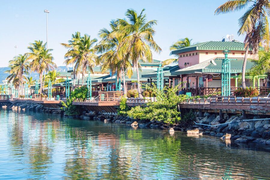 Tropical Ponce waterfront promenade with palm trees, pastel buildings and calm turquoise harbor water.