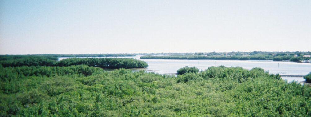 Weedon Island Preserve