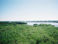 Weedon Island Preserve