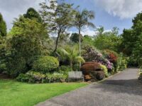 West Lynn Garden & Butterfly House