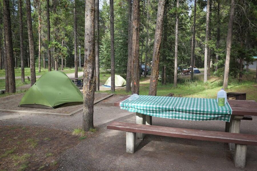 Picnic table beside a tent in a wooded area at Whistlers Campground, Jasper National Park, Alberta, Canada.