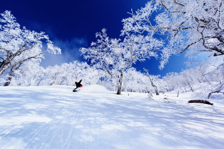 Skiing in Hokkaido and Powder Snow