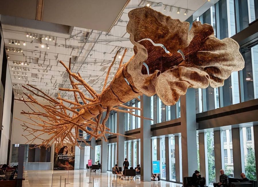 Museums and Galleries