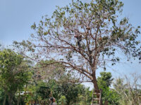 xpambiha Park Travel Forum Reviews