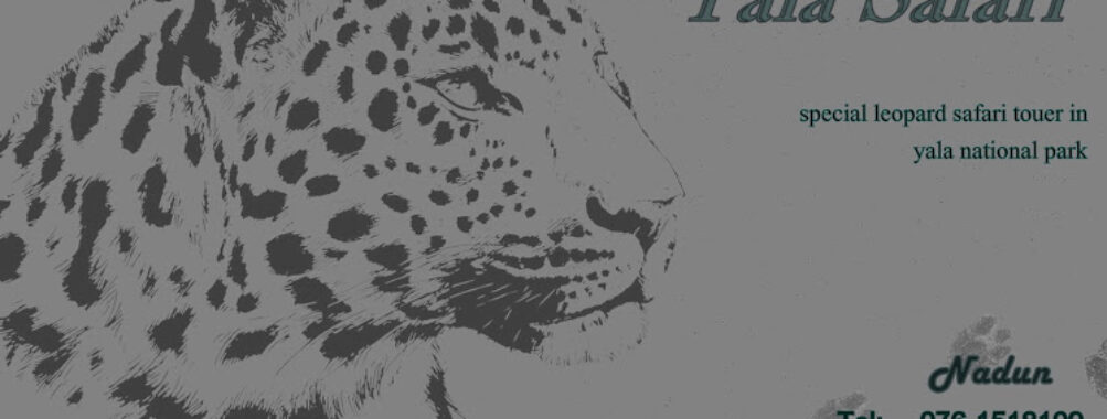 yala safari kataragama - yala safari jeep tours Travel Forum Reviews
