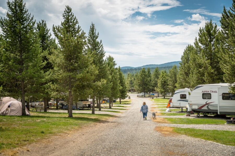 Man walks a dog along a gravel road at the West Gate KOA Holiday RV camp in Yellowstone Park.