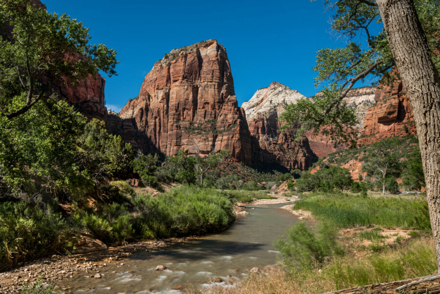 Majestic sandstone cliffs in Zion National Park, featuring vibrant colors and striking formations
