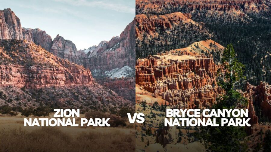 zion national park vs bryce canyon national park