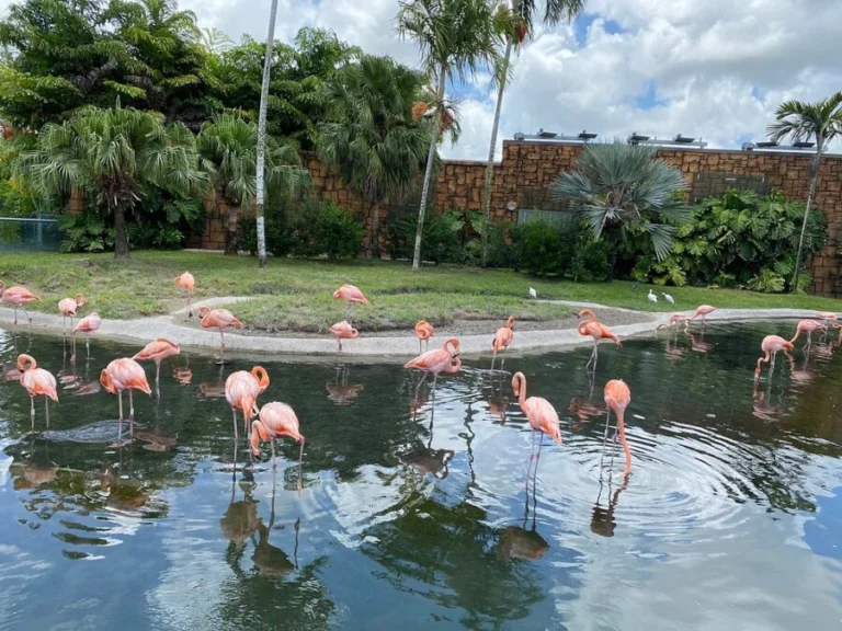 Zoo Miami