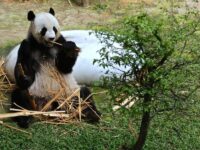 National Zoo of Malaysia