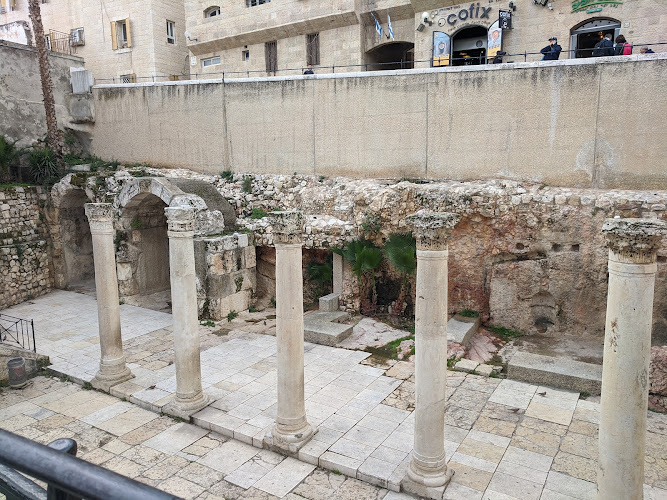 הבית השרוף - The Burnt House